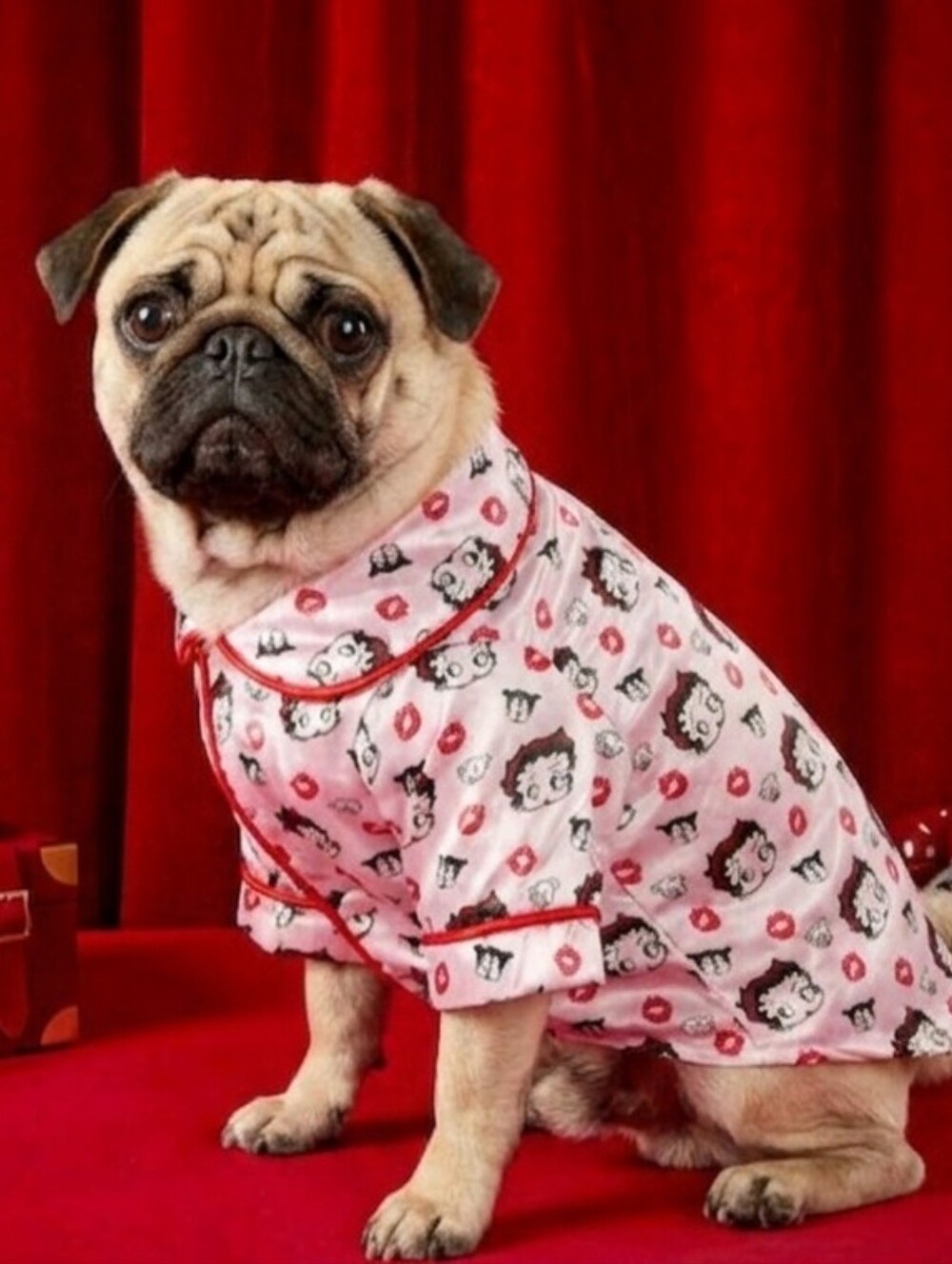 Betty Boop Pink & Red Dog Pajama Top